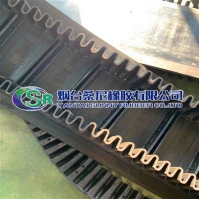 Correia transportadora lateral Resistente a óleo/calor/ácido